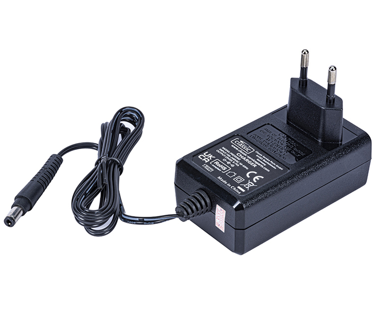 Rowenta RH9086WO Air Force 360 Staubsauger 29V 0.75A Ersatz-Ladegerät